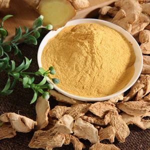 Αφυδατωμένη σκόνη τζίντζερ