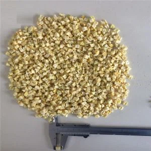 Αποξηραμένο μήλο